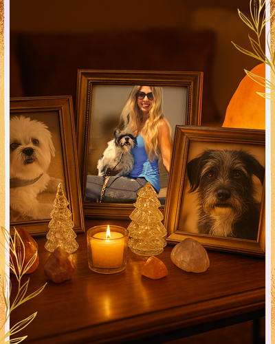 9 Sentient Beings You Should Never Eat: A Vegan Perspective