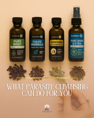 What Parasite Cleansing Can Do For You
