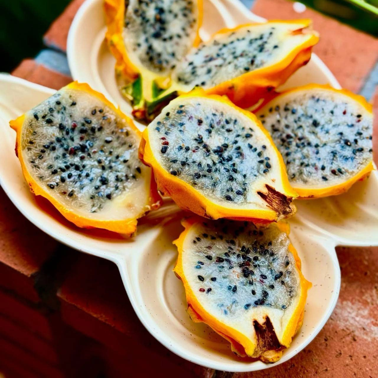 Yellow dragon fruit