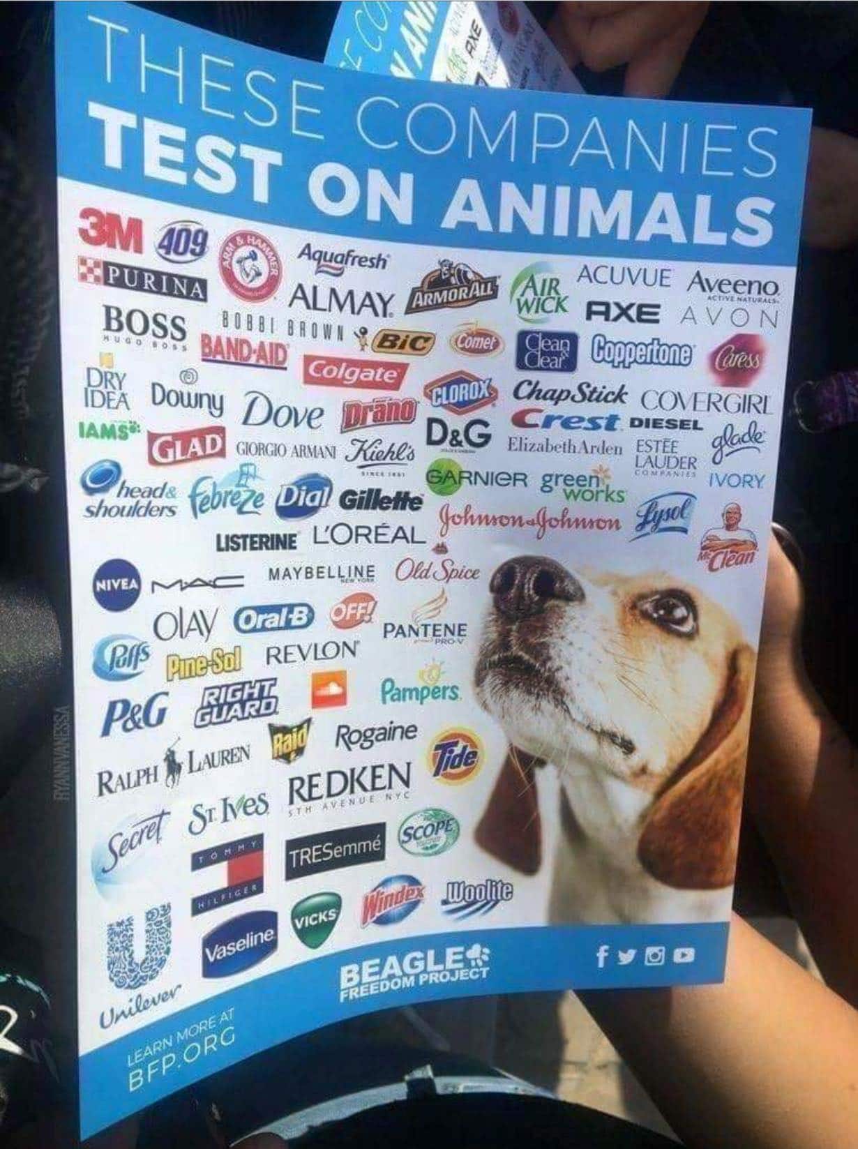 for-the-animals
